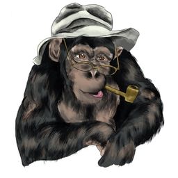 Tingu 2.0 avatar