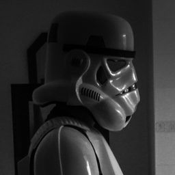 tk-421 avatar