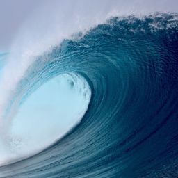 surfpirate