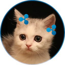 TKK_XRP avatar