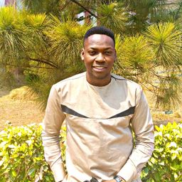 Tochprince avatar