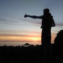 Tomiines avatar