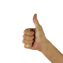 Topcomment avatar