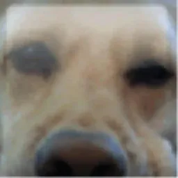 torceduras avatar