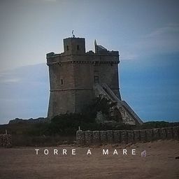torreamare avatar