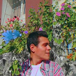 TotoxHope avatar