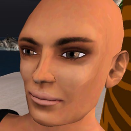 Crypto Musician avatar