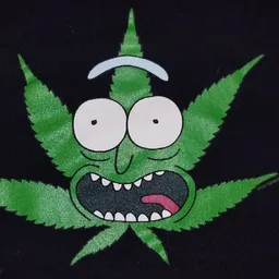 Tyler c137 avatar