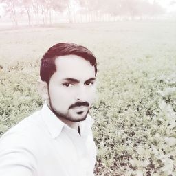 Muhammad Umair avatar