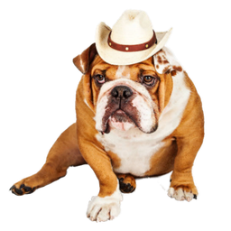 Uncle Bounce avatar