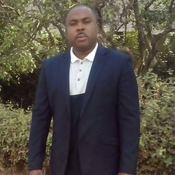Paul Okafor avatar