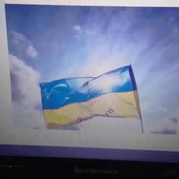 Vadim avatar