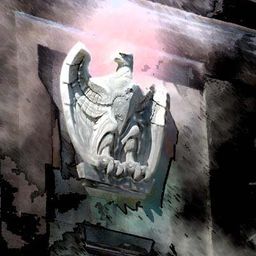 Goran Vasić avatar