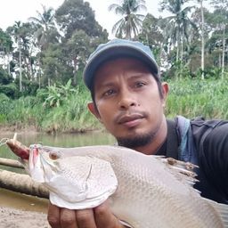 Rajo avatar