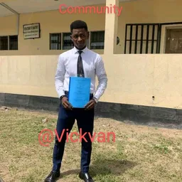vickvan avatar