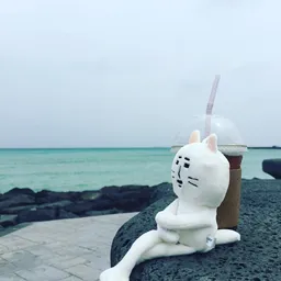 브이얌 avatar