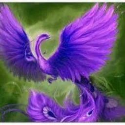 violetmagicphoenix  avatar