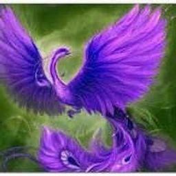 violetmagicphoenix avatar