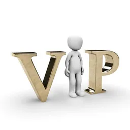 VIP Service avatar