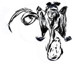 visterhook avatar
