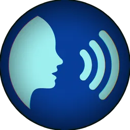 voice.direct avatar