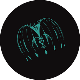 voodoolizard avatar