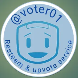 voter01 avatar
