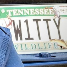 w1tty avatar