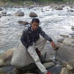 wady avatar