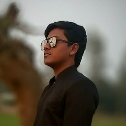 walidjoy avatar