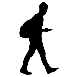 walking100 avatar
