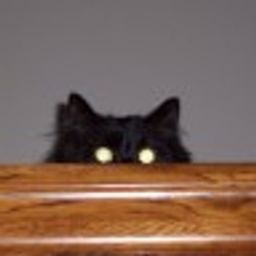 watchfulmomma avatar