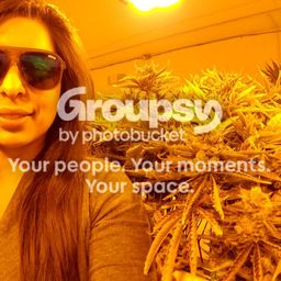 Weed Porn avatar