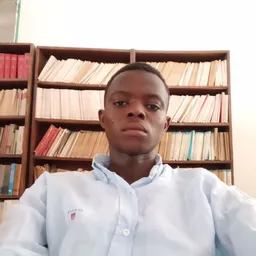 Nurudeen Wemah avatar