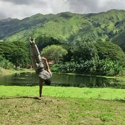 wesleyking avatar