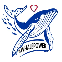 whalepower avatar