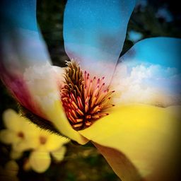 Life_with_Nature  avatar