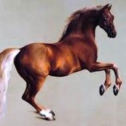 Whistlejacket avatar