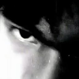 Who Saw? avatar