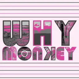 Why Monkey avatar