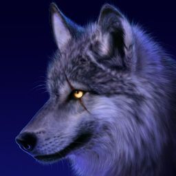 wild.nature avatar