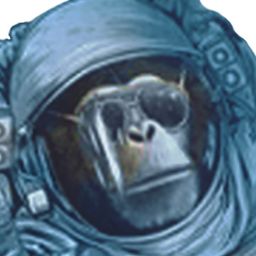 Wild Cosmos avatar