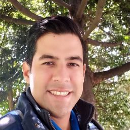williamminorta avatar