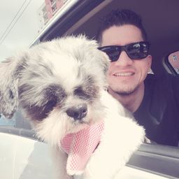 William Hernandez avatar