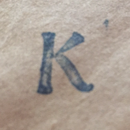 wisekricket avatar