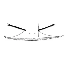 Sound Of Jack avatar