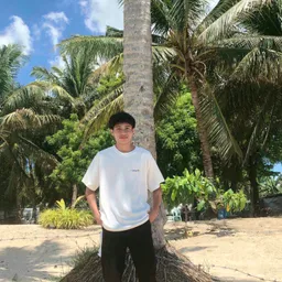 J A P H E T avatar