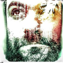 xgerard avatar