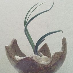 yamatar avatar