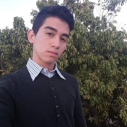 yanmith avatar